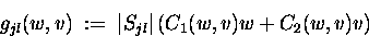 \begin{displaymath}
g_{jl}(w,v) \;:=\; \vert S_{jl}\vert \left( C_1(w,v) w + C_2(w,v) v \right)
\end{displaymath}