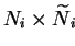 $ N_i \times \widetilde{N} \makebox[0pt]{}_i$