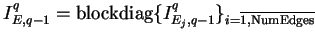 $ I_{E,q-1}^{q} =
\textrm{blockdiag}\{I_{E_j,q-1}^{q}\}_{i=\overline{1,\textrm{NumEdges}} \makebox[0pt]{}}
\enspace$