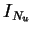 $ I_{N_u}$